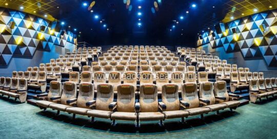 Prime-Cineplex-in-MogoliaTenessee-LS-13603-installed_调整大小